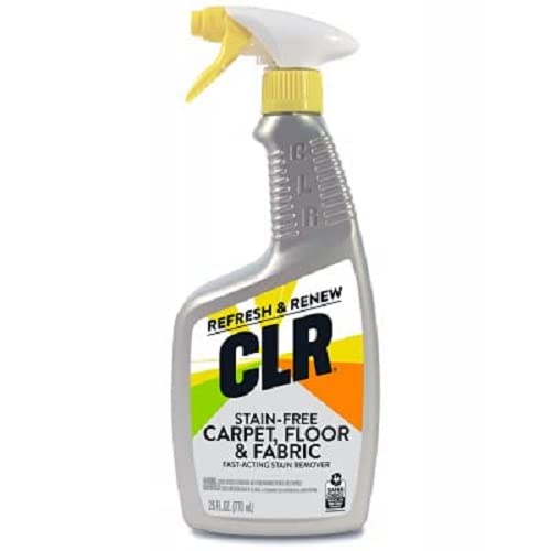 Stain & Spot Remover for Carpet, Floor, & Fabric 26-oz.