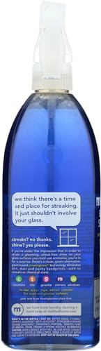 Method Mint Glass & Surface Cleaner, 28 FZ