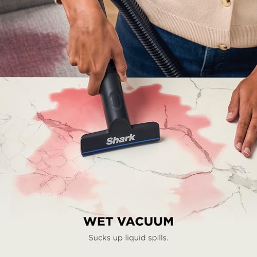 Shark EveryMess Ultra-Powerful 3-in-1 Wet Vac, Dry Vac, & Stain Eliminator with StainForce Technology, Perfect for Homes, Pets, and Cars, 3 Accessories and Cleaning Solution, Gray, VX101
