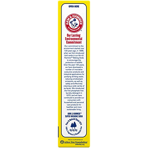 Church & Dwight Co 03020 Arm & Hammer Super Washing Soda