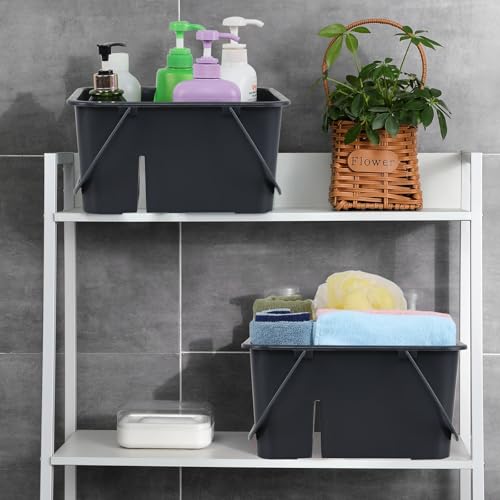 Fiazony Plastic Divided Caddy Organizer with Handle, 4-Compartment Plastic Cleaning Caddy, Drak Gray, F