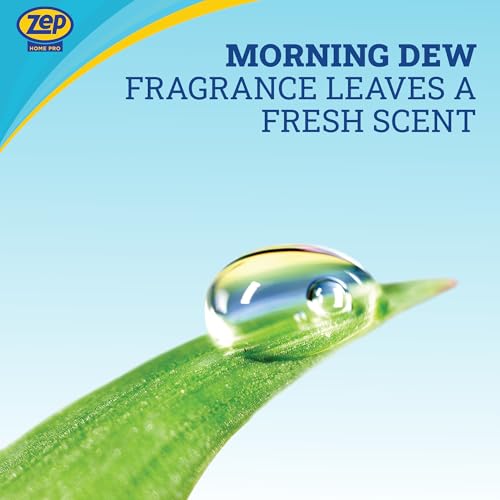 Zep Home Pro 2-in-1 Foaming Soap Scum Eliminator and Preventer, Morning Dew Scent, R54006-32 Fl Oz -Bleach-Free Formula