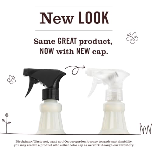 Mrs. MEYER'S CLEAN DAY Multi-Surface Everyday Cleaner, Elderberry Scent, 16 Fl Oz Bottle
