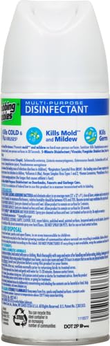 Scrubbing Bubbles Multi-Purpose Disinfectant Spray, 12 oz