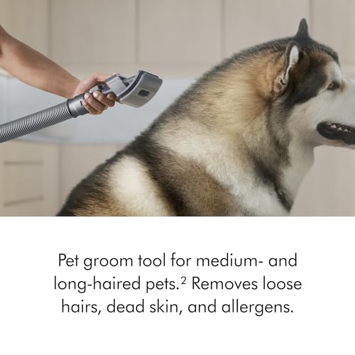 Dyson Ball Animal 3 Extra Upright Vacuum