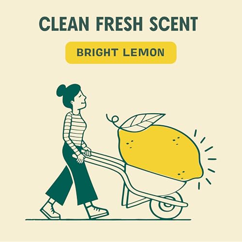 Aunt Fannie's All Purpose Household Cleaner, Multi-surface Spray, Powered by Vinegar for Kitchen, Bath, Windows and Countertops, Lemon Scent (Refill)