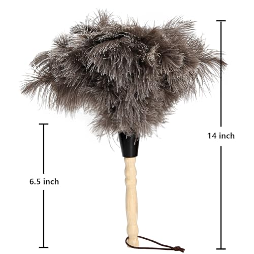 2pcs Ostrich Feather Dusters Natural Feathers Duster with Wooden Handle Natural Ostrich Feathers for Home Cleaning and Office Finishing Duster(2pcs，Length14”