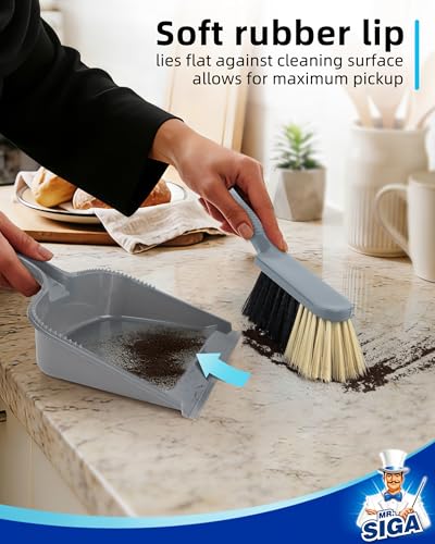 MR.SIGA Dustpan and Brush Set, Pack of 2 Set, Blue & Grey