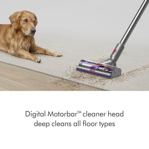 Dyson V15 Detect Extra (Renewed Premium)