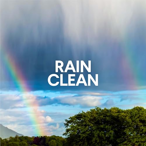 Clorox Clean-Up Multi-Surface Cleaner with Bleach, Rain Clean, Spray, 32 Fl Oz (Package May Vary)