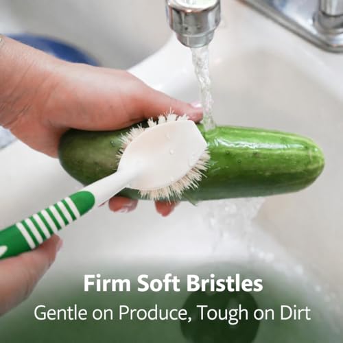 LIBMAN Vegetable Brush Scrubber for Food - 3 Pk Veggie Scrubber with Handle - Fruit Produce Mushroom Potato Brush - Natural Tampico Fibers, Firm Soft Bristles, Gentle on Produce; Tough on Dirt