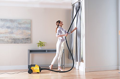 Eureka Canister Vacuum, Pet Friendly Vacuum Cleaner for Home, Lightweight Powerful Vacuum for Carpets and Hardfloors, 3670G Ordinary, Yellow