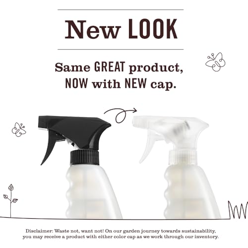 Mrs. MEYER'S CLEAN DAY Variety, 1 Multi-Surface Cleaner, 16 OZ, 1 Multi-Surface Cleaner, 16 OZ, 1 CT (Apple Cider + Mum)