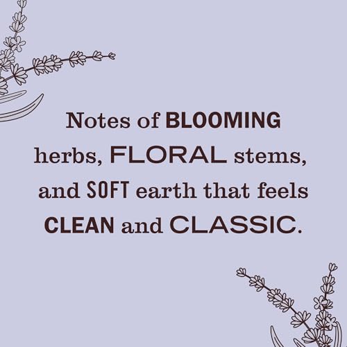 MRS. MEYER'S CLEAN DAY Scented Oil Refills, Lavender, contains 2 .67 fl oz refills