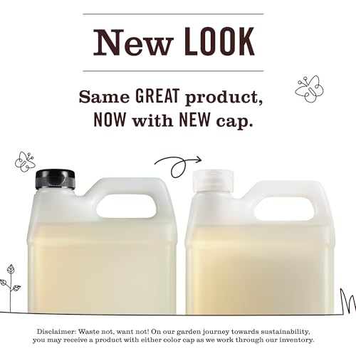 MRS. MEYER'S CLEAN DAY Hand Soap Refill, Lavender Scent, 33 Fl Oz Bottle