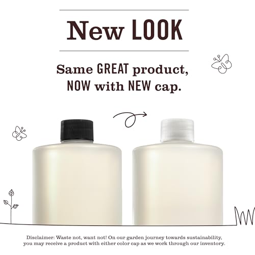 MRS. MEYER'S CLEAN DAY Multi-Surface Everyday Concentrate, Basil Scent, 32 Fl Oz Bottle