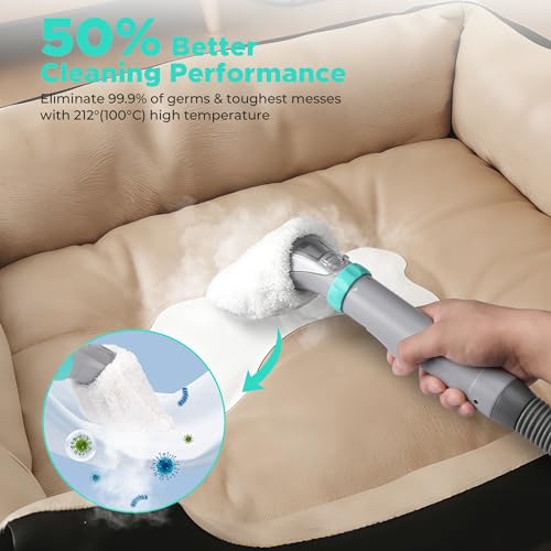 HAUSHOF Steam Portable Carpet and Upholstery Cleaner Machine, Instant Heating Portable Carpet Cleaner with Steam & HotWater & Cold Water System, Steam Cleaner for Carpets, Cars, Furniture, Couch