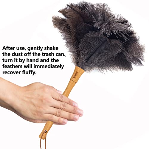 Aldwin Ostrich Feather Duster, 16 inch Ostrich Feather Duster with Wood Handle Reusable, Fluffy Natural Genuine Handheld Feather Duster for Cleaning Supplies, Home, Car, Office