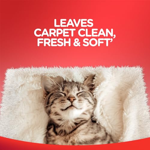 Resolve High Traffic Carpet Foam Cleaner, Carpet Cleaner, Cleans Freshens Softens & Removes Stains, 22 oz Can