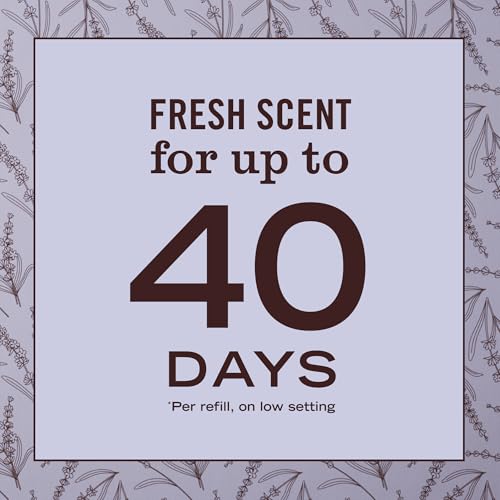 MRS. MEYER'S CLEAN DAY Scented Oil Refills, Lavender, contains 2 .67 fl oz refills