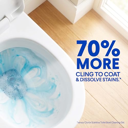 Clorox Toilet Bowl Cleaner Heavy-Duty Gel, Arctic Clean, Bleach-Free Stain Remover, Kills 99.9% of Germs, 24 oz, Pack of 12