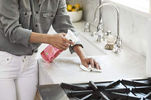 Method All-Purpose Cleaner Spray, French Lavender, Perfect for Most Counters, Tiles and More, 28 Fl Oz (Pack of 2)