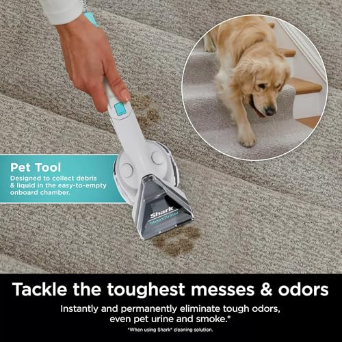 Shark PX201 StainStriker Portable Carpet & Upholstery Cleaner, Spot, Stain, & Odor Eliminator, 3 Attachments, Perfect for Pets, Carpet, Area Rugs, Couches, Upholstery, Cars & More, White (Renewed)
