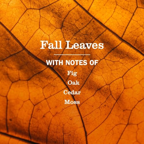 Mrs. MEYER'S Fall Leaves Kitchen Set Variation, Includes Dish Soap, Hand Soap and Multi-Surface Cleaner, 3 ct.