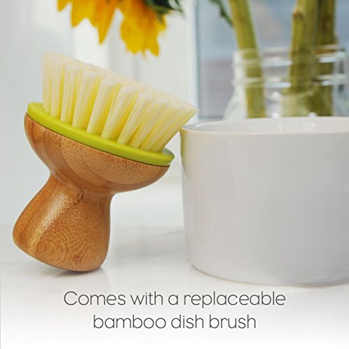 Full Circle Bubble Up Dish Brush, Green (Pack of 6)