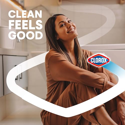 Clorox Toilet Bowl Cleaner Heavy-Duty Gel, Arctic Clean, Bleach-Free Stain Remover, Kills 99.9% of Germs, 24 oz, Pack of 12