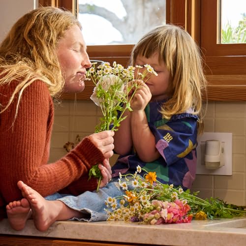 MRS. MEYER'S CLEAN DAY Scented Oil Refills, Lavender, contains 2 .67 fl oz refills