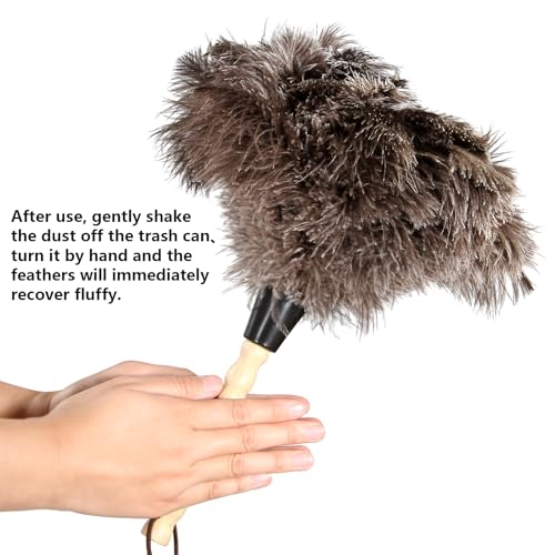 2pcs Ostrich Feather Dusters Natural Feathers Duster with Wooden Handle Natural Ostrich Feathers for Home Cleaning and Office Finishing Duster(2pcs，Length14”