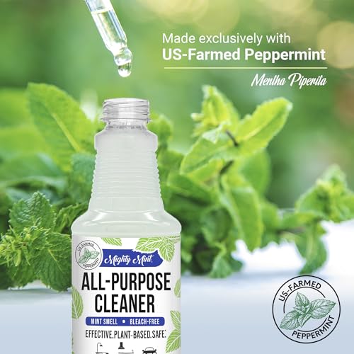 Mighty Mint All-Purpose Cleaner Spray for Home, Kitchen, Bathroom, Natural Peppermint Scent, 16oz - 2 Pack