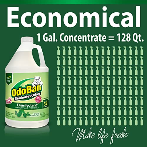 OdoBan Disinfectant Concentrate and Odor Eliminator, Made in the USA, Original Eucalyptus Scent, 2 Gallons