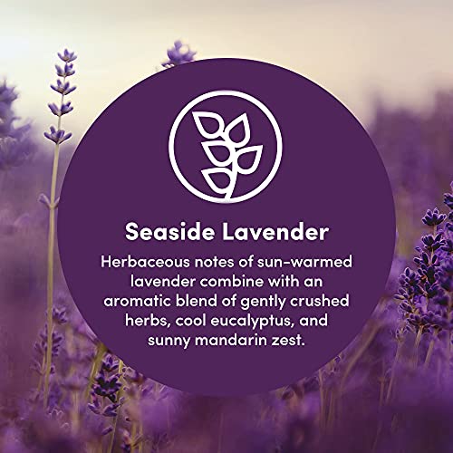 Clean Revolution Multi Surface Cleaner Refill Supply, Non-Toxic, Eco-Friendly & Plant-Based, Ready to Use, Seaside Lavender, 128 Fl Oz (1 Gallon)