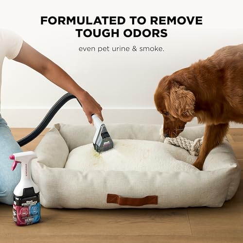 Shark EveryMess Ultra-Powerful 3-in-1 Wet Vac, Dry Vac, & Stain Eliminator with StainForce Technology, Perfect for Homes, Pets, and Cars, 3 Accessories and Cleaning Solution, Gray, VX101