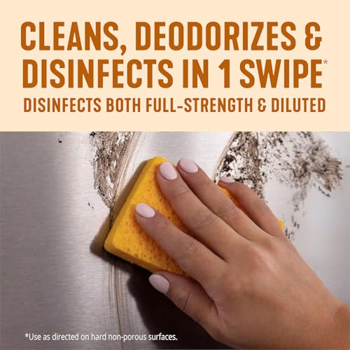 Pine-Sol Mandarin Sunrise Multi-Purpose Cleaner, 4X Cleaning Action, 48oz Pack of 2