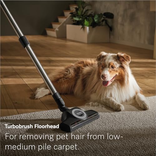 NEW Miele Guard L1 Cat & Dog Bagged Canister Vacuum for Pet Owners with Odor-Reducing Active AirClean Filter, TurboTeQ Floorhead, and AllTeQ Universal Floorhead, in Obsidian Black/Rose Gold