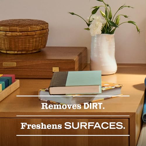 Mrs. MEYER'S CLEAN DAY Multi-Surface Everyday Cleaner, Blueberry Scent, 16 Fl Oz Bottle - 3 Pack