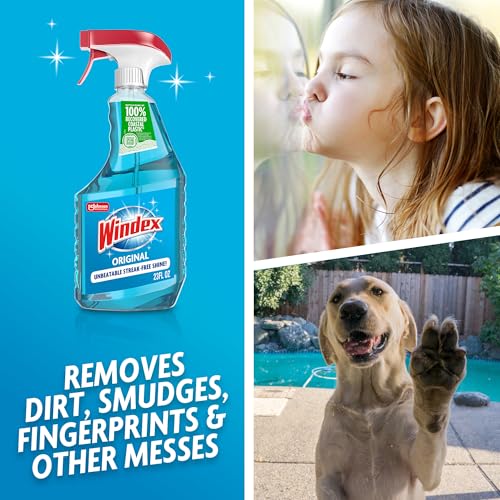 Windex Glass and Window Cleaner Spray Bottle, Bottle Made from 100% Recycled Plastic, Surface Cleaning Spray, Original Blue Scent, 23 Fl Oz (Pack of 6)