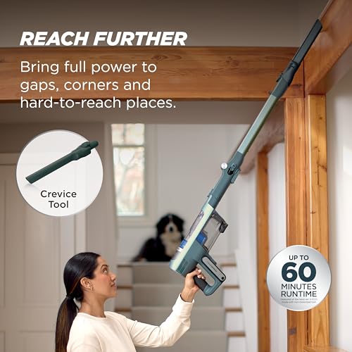 Shark PowerDetect Speed Plus Clean & Empty | Cordless Stick Vacuum Cleaner with Auto-Empty | Lightweight | Exclusive Pet Hair Accessories | Carpet, Hard Floors | 60-Min Runtime | Frosted Sage | IA3243