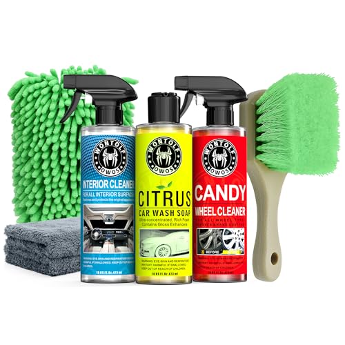 Wontolf Complete Car Wash Cleaning Kit, Car Interior Detailing Kit with Car Wash Soap, Interior Detailing Cleaner, Wheel Cleaner, Wheel Brush, Dying Towel, for Cars Trucks RVs SUVs