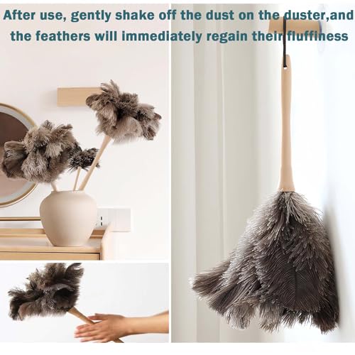 Ostrich Feather Duster for Cleaning-Furniture Dusters with Handle Ddzmz Hand Duster with Fluffy Natural Genuine Feather Reusable Household Duster, Gray and Brown(Length 16")