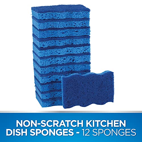 Dawn Ultra Scrubber Sponges Non-Scratch Double-Sided Kitchen Dish Cleaners, 12-Pack, Blue