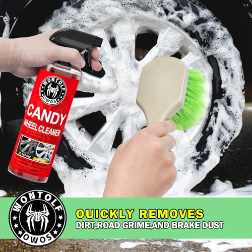 Wontolf Complete Car Wash Cleaning Kit, Car Interior Detailing Kit with Car Wash Soap, Interior Detailing Cleaner, Wheel Cleaner, Wheel Brush, Dying Towel, for Cars Trucks RVs SUVs
