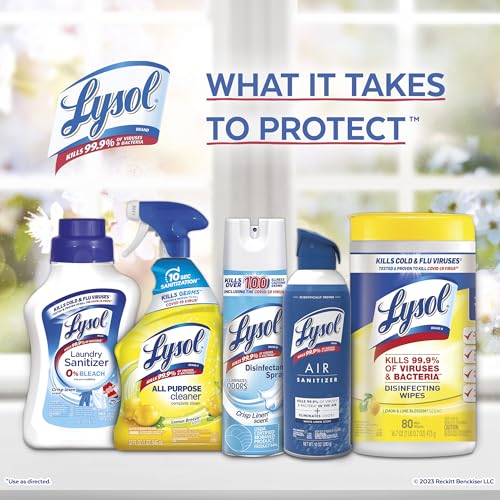 Lysol Disinfectant Handi-Pack Wipes, Multi-Surface Antibacterial Cleaning Wipes, for Disinfecting and Cleaning, Lemon and Lime Blossom, 480 Count (Pack of 6)