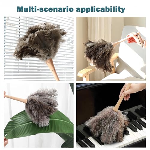 Ostrich Feather Duster for Cleaning-Furniture Dusters with Handle Ddzmz Hand Duster with Fluffy Natural Genuine Feather Reusable Household Duster, Gray and Brown(Length 16")