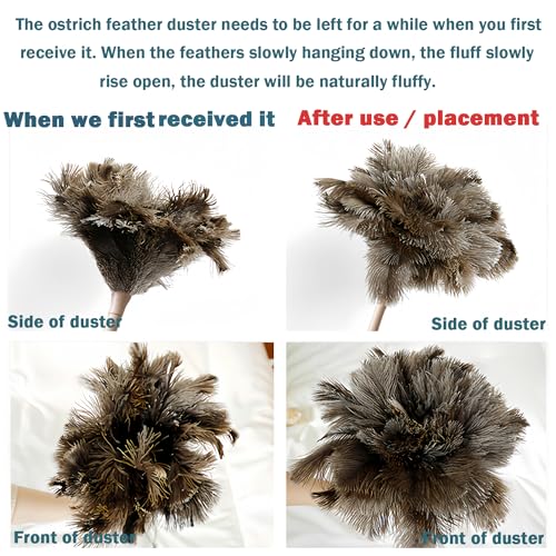 Ostrich Feather Duster for Cleaning-Furniture Dusters with Handle Ddzmz Hand Duster with Fluffy Natural Genuine Feather Reusable Household Duster, Gray and Brown(Length 16")