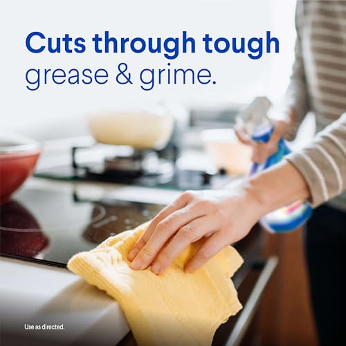 Clorox Clean-Up Multi-Surface Cleaner with Bleach, Rain Clean, Spray, 32 Fl Oz (Package May Vary)