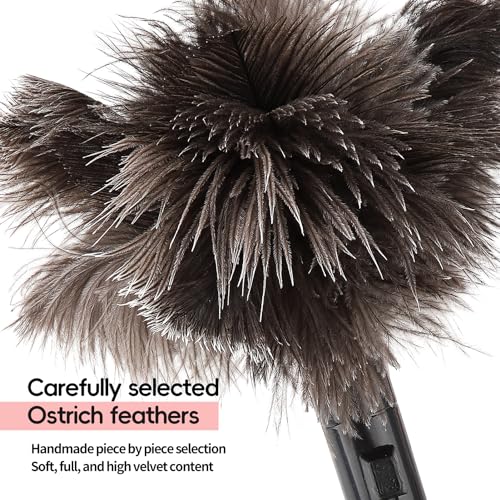 FeelfunFeather Retractable Feather Duster-Genuine Ostrich Feathers,Anti-Static,Reusable Eco-Friendly Handheld Cleaning for Keyboard,Home,Car,Office(10 to 15 Inches) 1 Pack